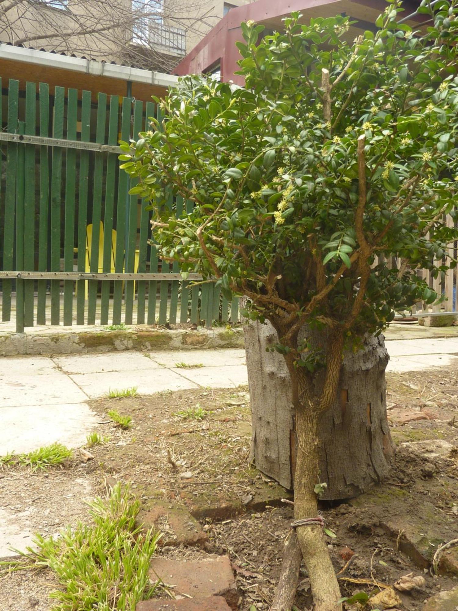 Hotel Gardens in Vake, Tbilisi Exterior foto